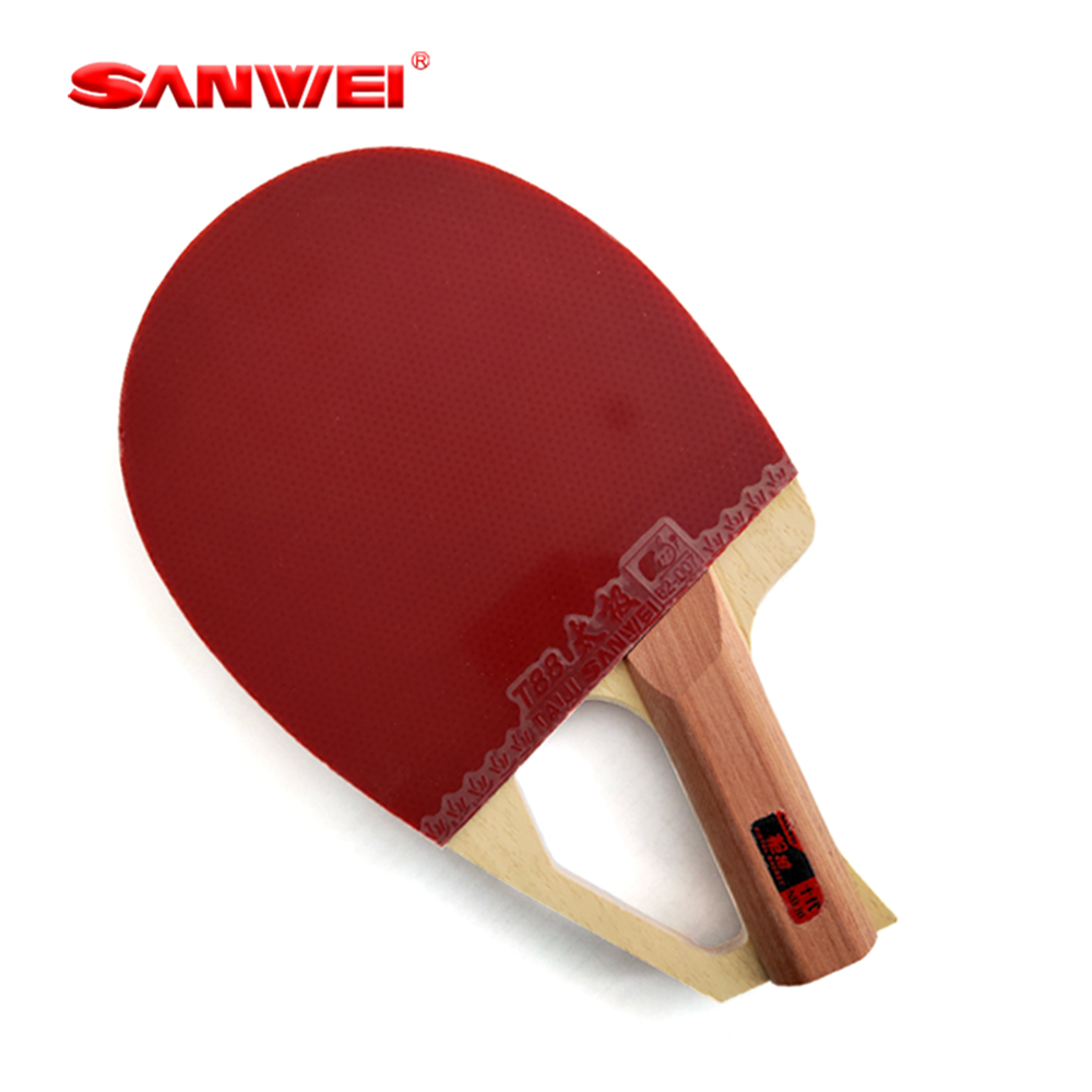 Table Tennis Racket - Racchetta da Ping Pong Professionale SANWEI