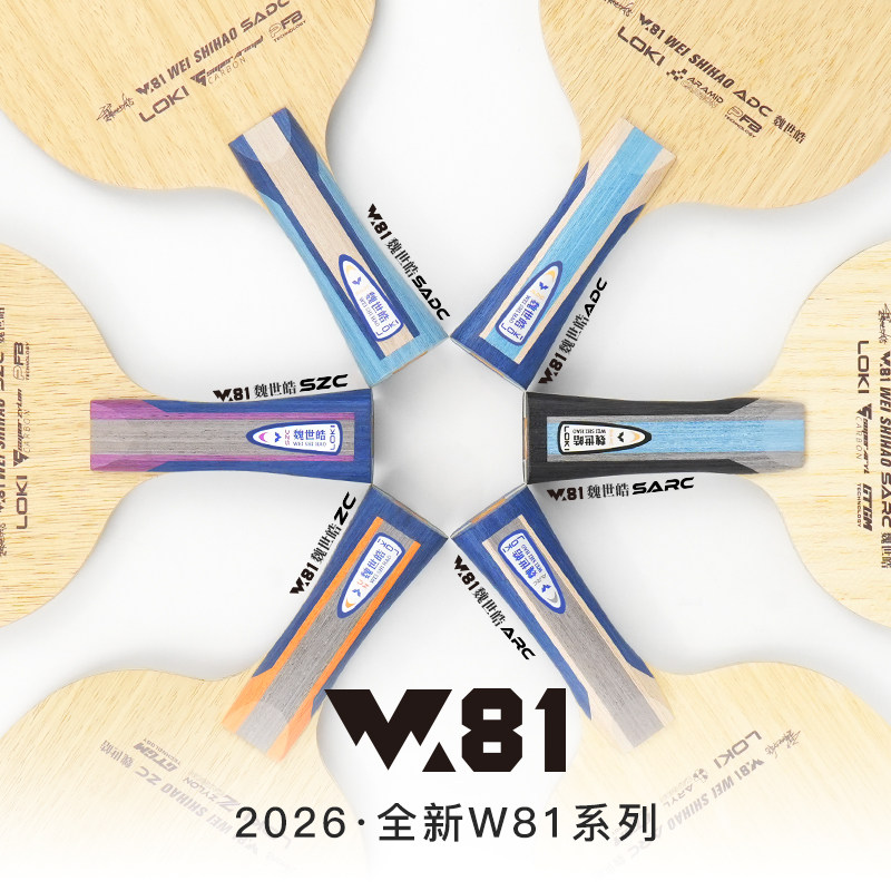 Racchetta da Ping Pong Profess - Table Tennis Racket recensione e prezzo