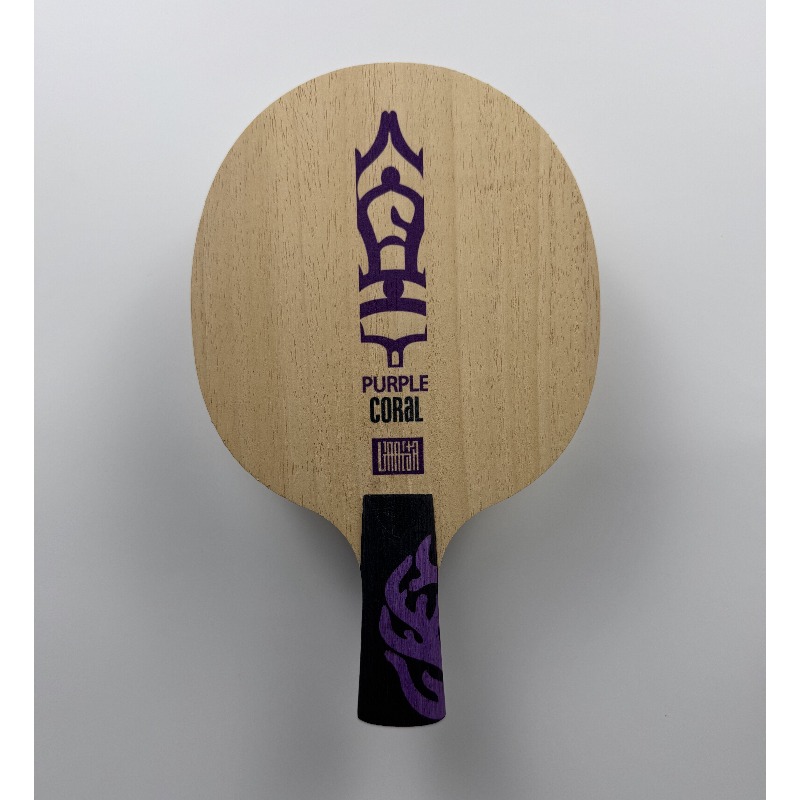 Racchetta da Ping Pong Meteor  - Table Tennis Racket recensione e prezzo